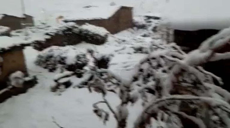 मौसम विभाग ने राज्य के कई जिलों में किया येलो