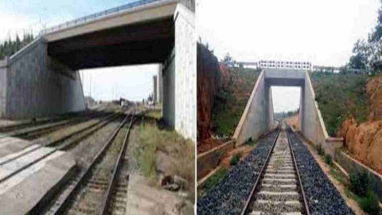नेपालीफार्म-ढालवाला तक रोड होगी डबल लेन, भानियावाला-ऋषिकेश रोड होगी फोरलेन…