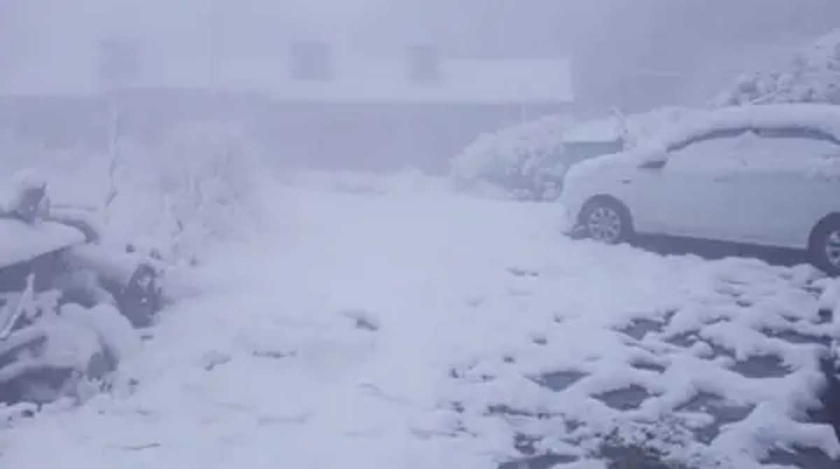 उत्तराखंड में 11-12 को बारिश और बर्फबारी के आसार, मैदानों