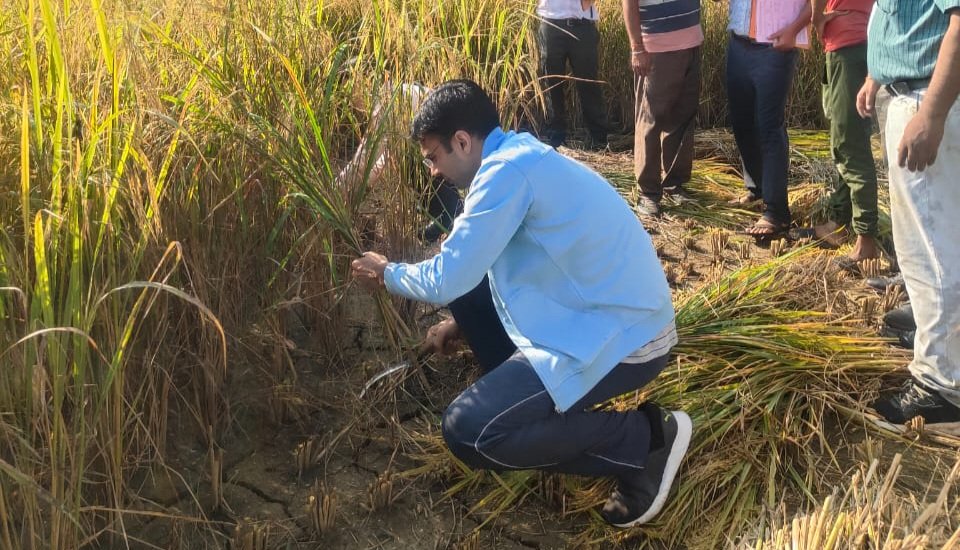 सुबह-सुबह किसान बन पहुंचे डीएम सविन, खेत में किसानों संग
