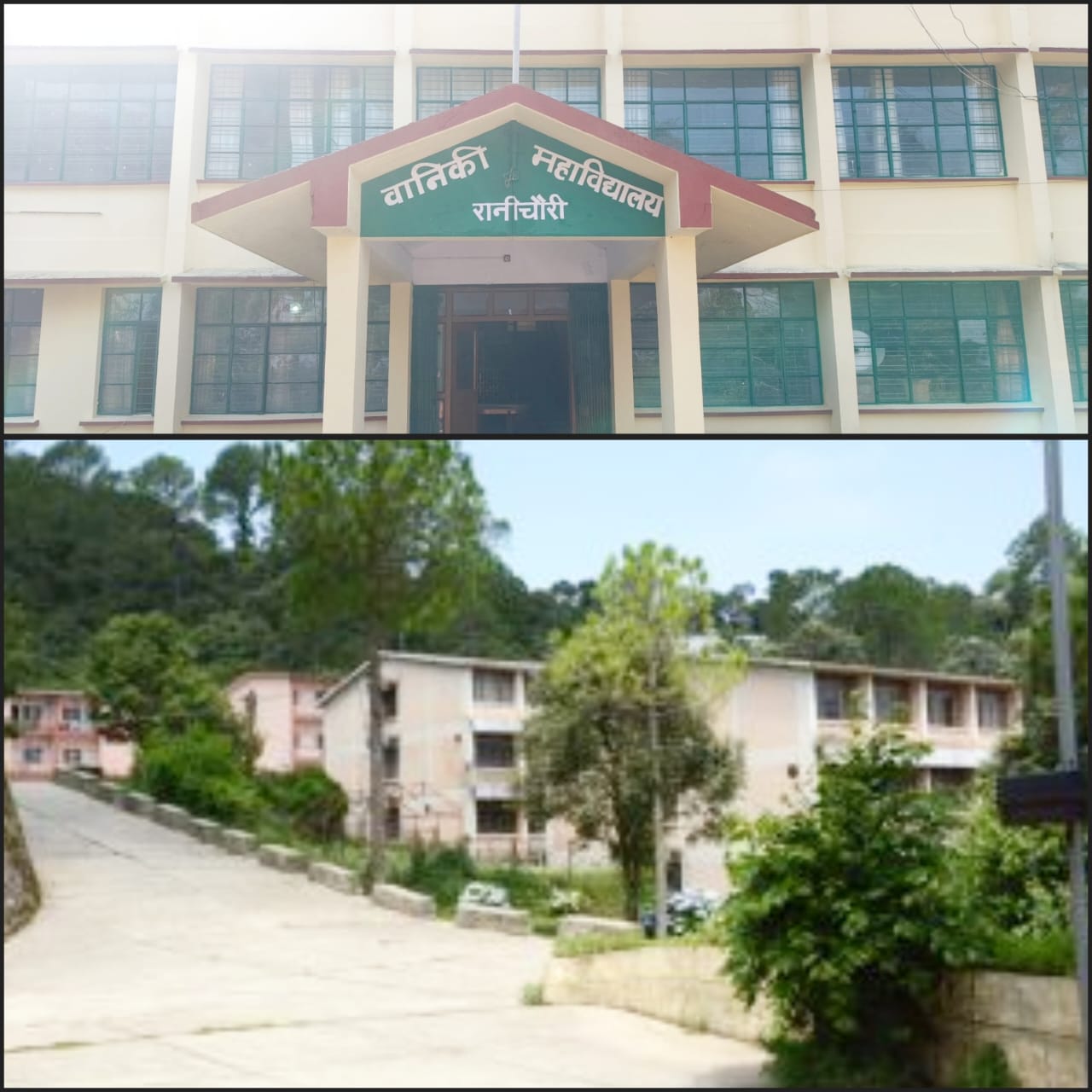 WhatsApp Image 2025-10-23 at 20.31.31_abe267fd