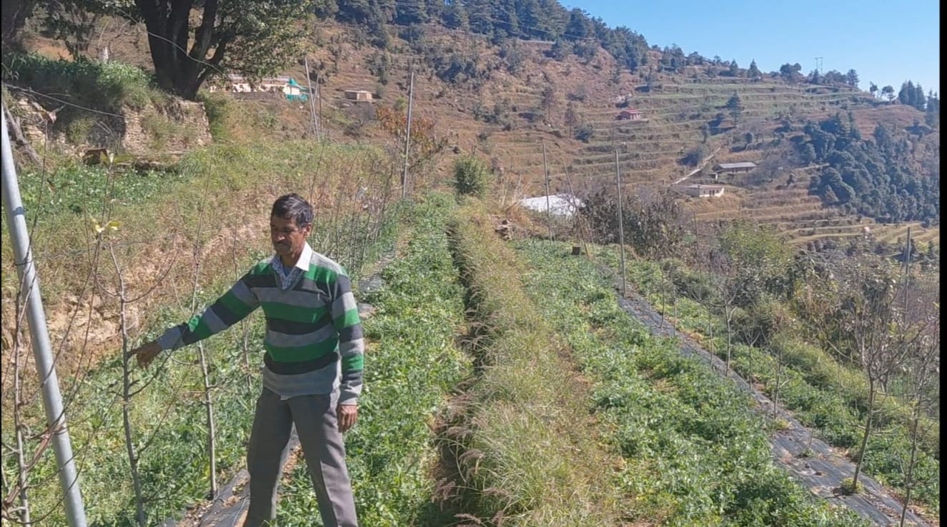 चोपडियालगांव के खुशीराम डबराल: पहाड़ की मिट्टी से आत्मनिर्भरता की