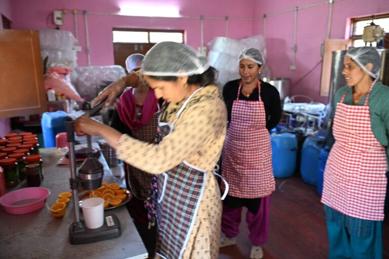 मक्कूमठ में महिला सशक्तिकरण की नई कहानी, ग्रोथ सेंटर से