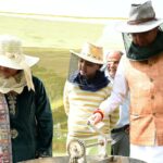 मुख्यमंत्री आवास में शहद निष्कासन पहले चरण में 60 किलोग्राम
